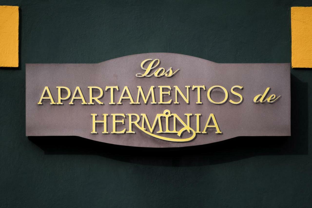 Apartamentos de Herminia Manzaneda  Exterior foto